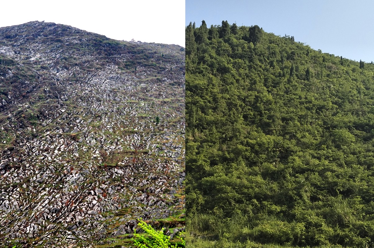 桑植县石漠化治理试验示范点荒山原貌与现状